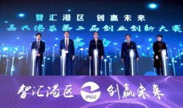 嘉兴城南新闻最新爆料,独家揭秘最新爆料背后的惊人真相